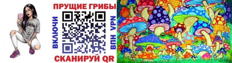 ОМГ ОМГ зеркало  Курганинск  Галлюциногенные грибы Magic Shrooms 